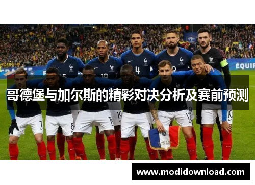哥德堡与加尔斯的精彩对决分析及赛前预测