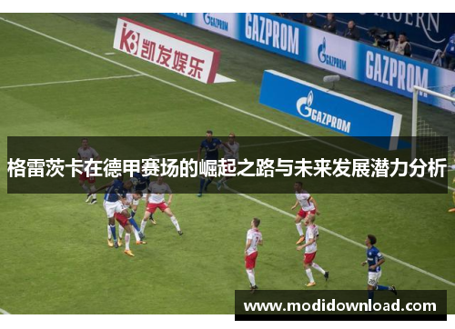 格雷茨卡在德甲赛场的崛起之路与未来发展潜力分析